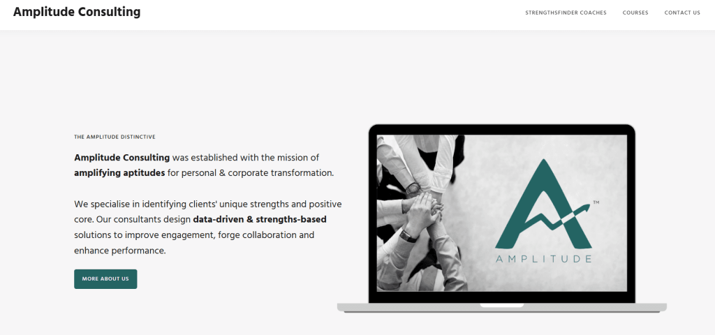Amplitude Consulting
